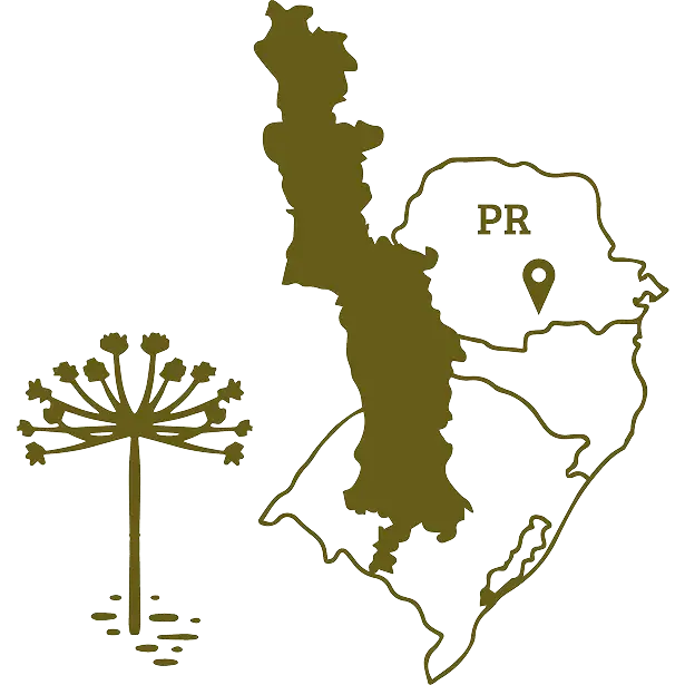 Mapa Inácio Martins